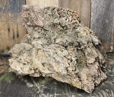 Missouri Natural Fossilized Coral Stone w/Druzy Quartz, Fossils, and Moss