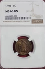 1891 INDIAN CENT NGC MS63 BN