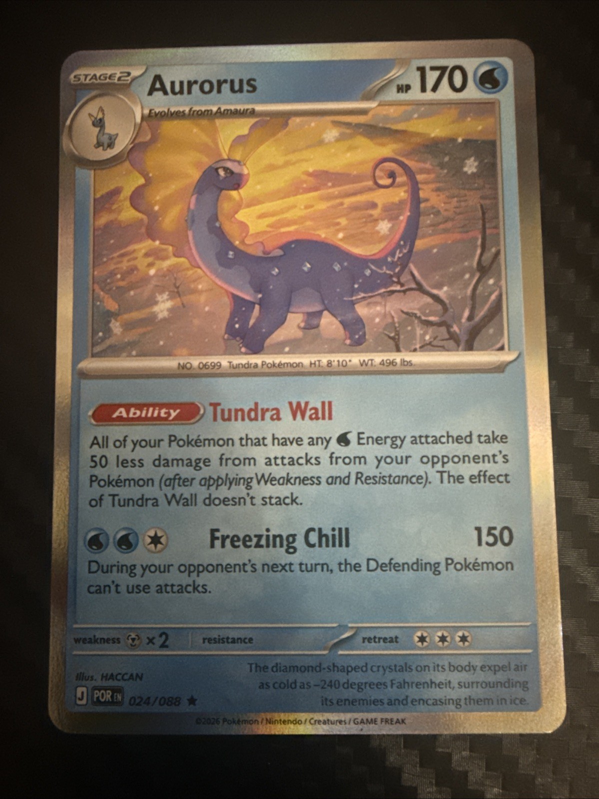 Aurorus 024/088 Me03: Perfect Order Holo