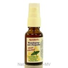 (497,50 EUR/l) Propolis Mundspray ohne Alkohol (20ml)