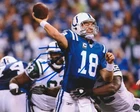 Peyton Manning Autographed Indianapolis Colts 8x10 Photo/COA/Matching Hologram