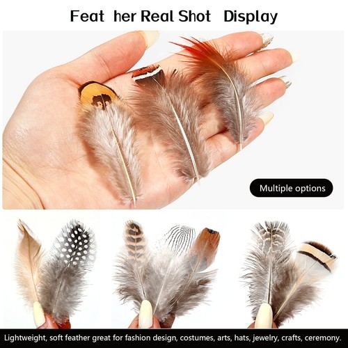 300 Pcs 10 Style Natural Feathers Assorted Mixed for Dream Catcher DIY Crafts - Picture 5 of 7