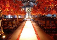 75 ft Satin Aisle Runner Bridal Wedding 100 Polyester Satin Fabric White