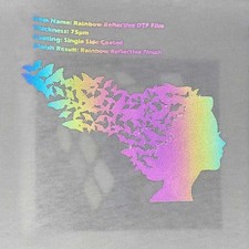 13inx164ft DTF Film Roll Cold Peel DTF Reflective Film Heat Transfer Printing