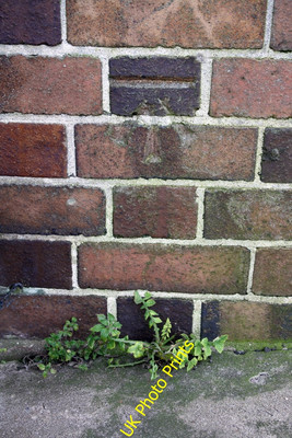 Foto 6x4 Benchmark auf Bibliothek, Filton Avenue Bristol Ordnance Survey Schnitt c2016