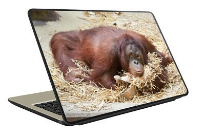 AUFKLEBER STICKER PC LAPTOP LAPTOP MAC SKIN Affe Orang-Utan Stroh OP059