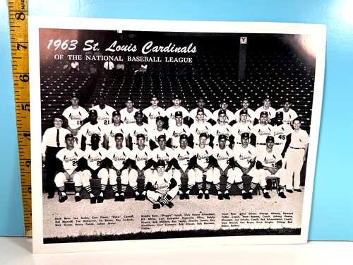 ORIGINAL 1963 St. Louis Cardinals Baseball Team Issued Photo🔥