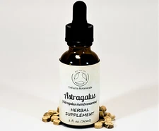 ASTRAGALUS Herbal Supplement  Liquid Extract Tincture / Astragalus membranaceous