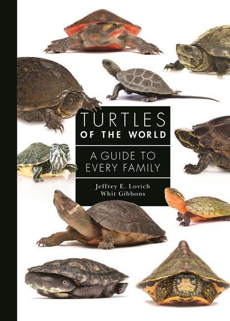 Thumbnail - Turtles Of The World | Jeffrey E. Lovich, Whit Gibbons | Englisch