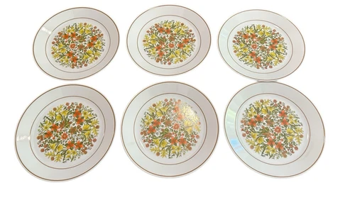 Corning Corelle Indian Summer Set of 6 Dinner Plates 10.25" Floral Vintage