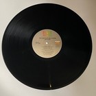 Foto 7 di 8