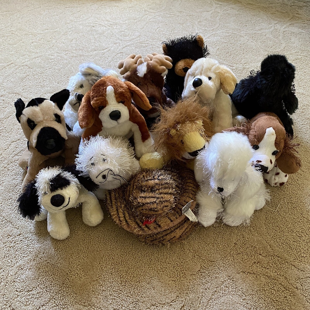 Dog All Webkinz Animals Webkinz Lot Of 13 Plush Stuffed Animals No