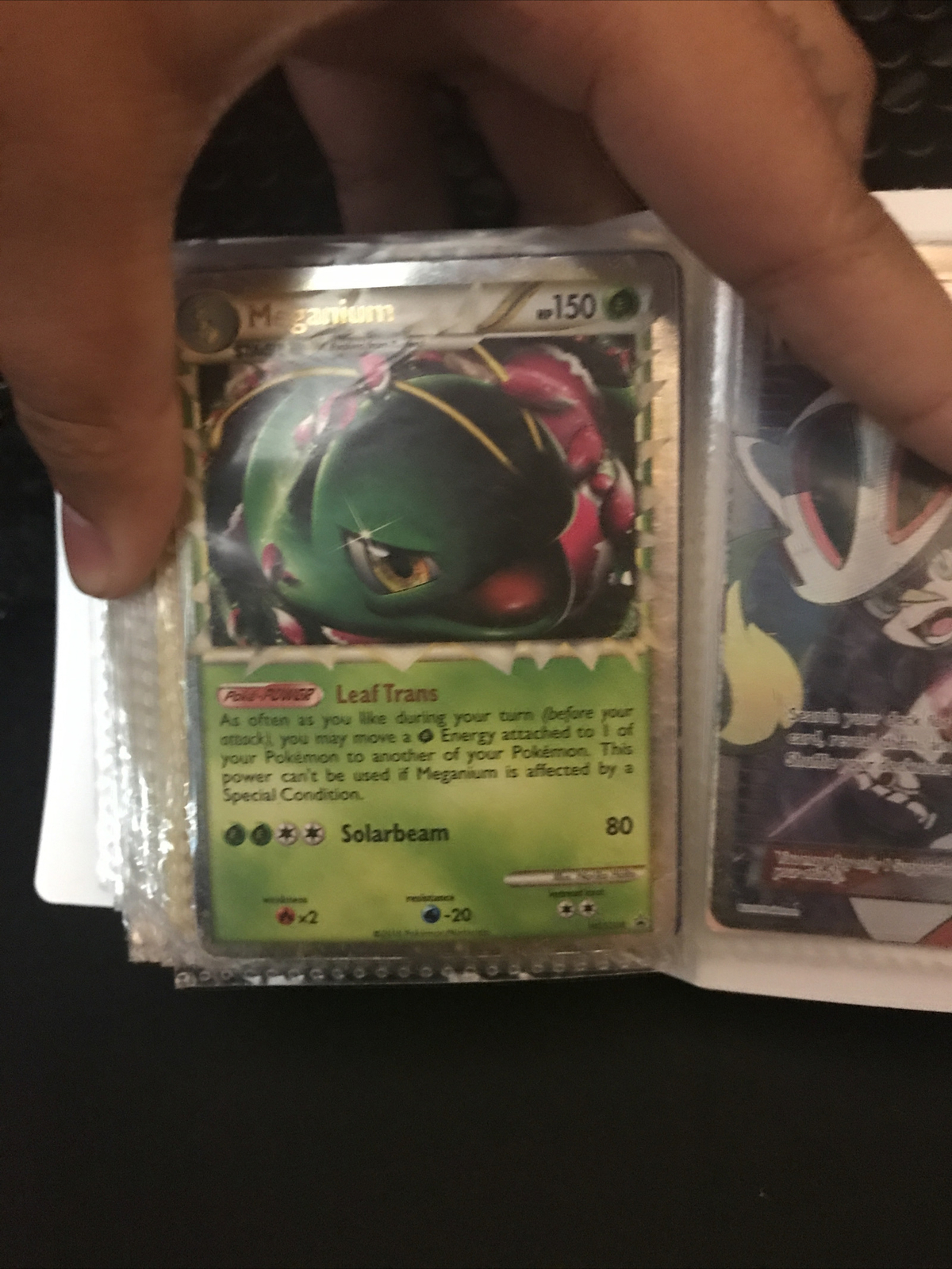 Meganium Prime - HGSS08 - Holo Promo Pokemon Card