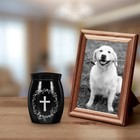 Bild 6 von 12
