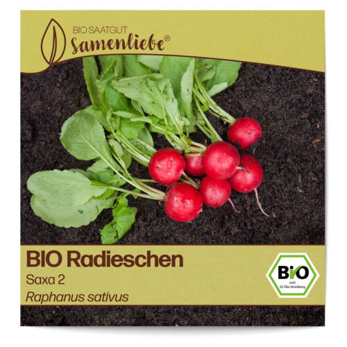 BIO Radieschen Samen Sorte Saxa 2 Gemüsesamen BIO Gemüse Saatgut samenfeste Radi - Bild 1 von 8