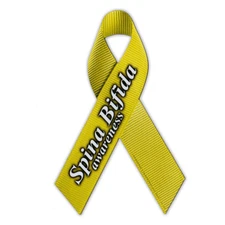 Magnetic Bumper Sticker - Spina Bifida Support Ribbon - Awareness Magnet