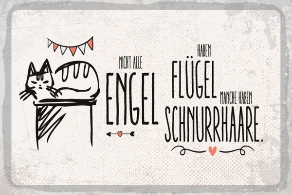 Holzschild 30X40 Cm Engel FlüGel Schnurrhaare Schild Deko Geschenk Schild-image