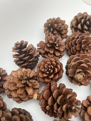 Natural Pine Cones,  Bag 29 Cones per bag MADE IN USA