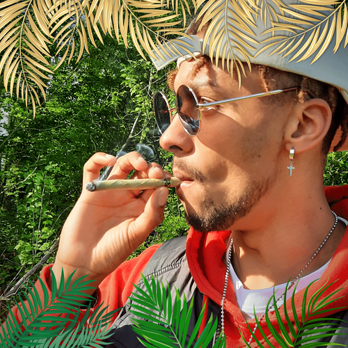GOLD PALMS® Blunt Wraps | 100% Natural | Pre-Rolled cones | Tabak frei | Hülsen - Bild 6 von 79