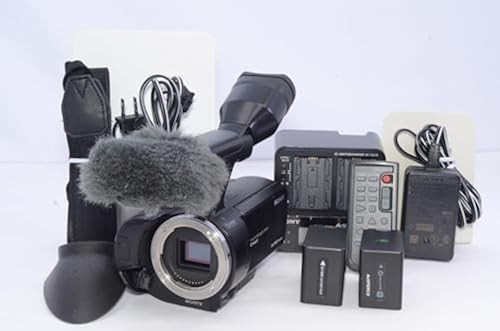 Body Aps-c Sdxc Hdmi Tested Working