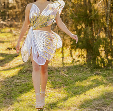 Women Fairy butterfly Wing Dress Synthetic Plastic Material XV dress pictures 