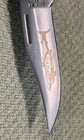 CASE XX USA P158-LSSP MAKO SHARK LOCKBACK KNIFE 2 Dot W Sheath/Box — photo 7