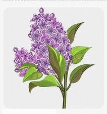 MACHINE EMBROIDERY DESIGNS USB - GARDEN FLOWERS COLLECTION 5X7 ROSE DAHLIA LILY