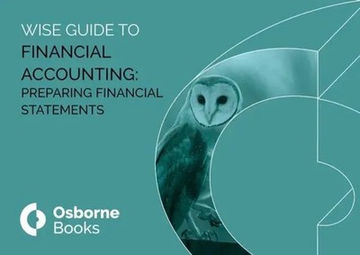 FINANCIAL ACCOUNTING: PREPARING FINANCIAL STAETMENTS WISEGUIDE | Debbie Board