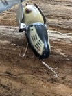 Heddon Crazy Crawler Fishing Lure — photo 5