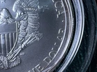 2004 American Silver Eagle $1 BU Brilliant Uncirculated ASE .999 Fine Silver 1oz
