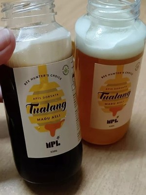Raw Golden Tualang Honey & Raw Tualang Honey Set 100% Pure Wild Honey - 330g X 2
