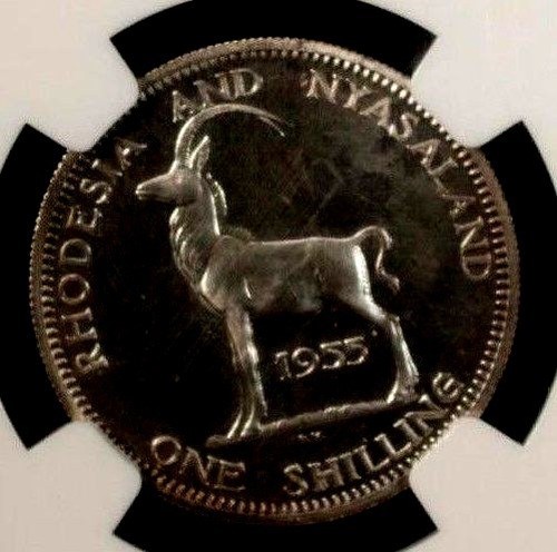 Rhodesia & Nyasaland 1 Shilling 1955 NGC PF 66 Cameo UNC Silver Elizabeth II - Picture 2 of 4