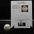 1998 San Diego Padres Team Signed Baseball Gwynn Hoffman Bochy +26 AZ423