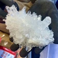 1.16LB New Find White Phantom Quartz Crystal Cluster Mineral Specimen