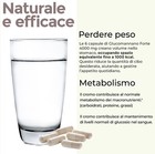 Foto 5 di 11