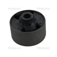 Lagerung, Lenker Triscan 8500 43829 FüR Hyundai Kia, Vorderachse, AußEn, Hinten