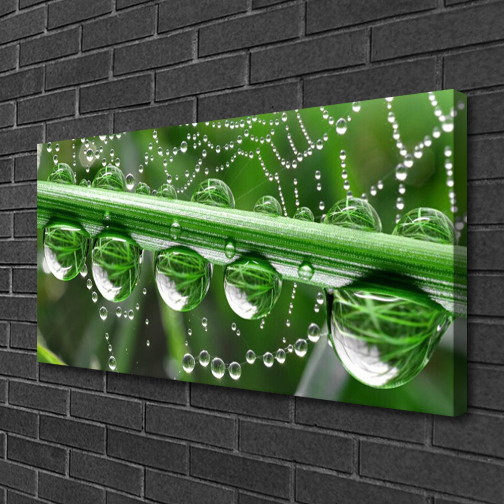 Toile d'araignée et rosée grand tableau 100x50 cm pour masquer un mur vide