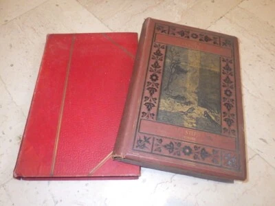 1882.lot 2 livres voyage Sibérie (cataractes Obi.cartonnage.Russie).Gothi.Fath - Photo 1/4