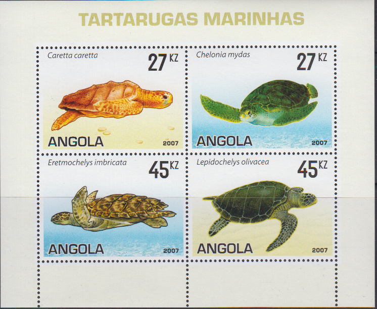 Why Are Turtles Reptiles And Not Amphibians Amphibian And Reptile