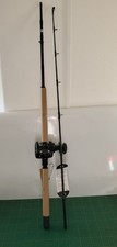 PENN Warfare Combo-Set mit Bootsrute und Multirolle 30LWLH (1404573)