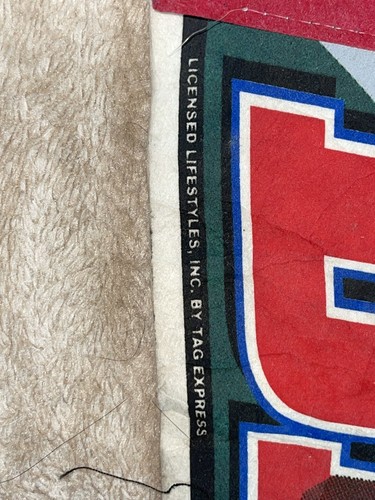 vintage 1997 football Buffalo Bills NFL Banner - Picture 5 of 13