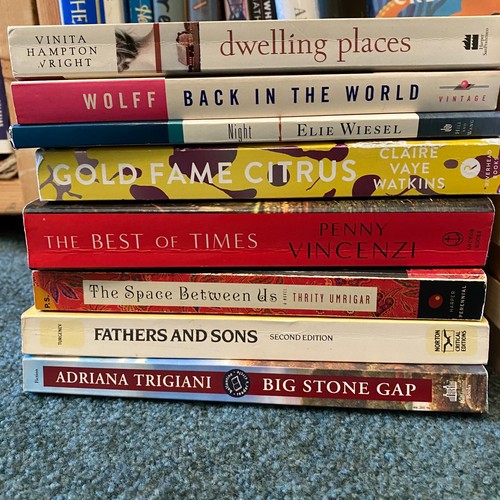 Lot of 18 Random Literary Fiction Trade Paperbacks Mixed Authors No Doubles - Picture 7 of 10