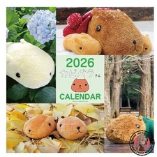 NEW 2026 Capybara Wall Calendar Calendar 