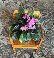 VINTAGE '50s WOODEN FOLDING POTTY CHAIR OAK HILL BRAND CUTE ~FLOWER NOT INCLUDED