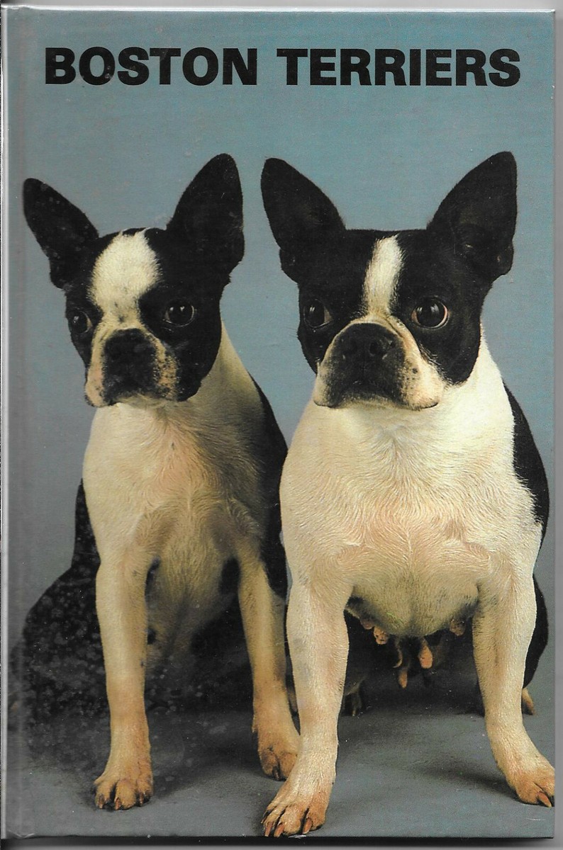 BOSTON TERRIERS, 1983 EDITION BY PUBLICATIONS, HB