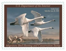 #RW90  2023 -2024 Federal Duck Stamp  - MNH