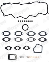 Payen Dichtungssatz Zylinderkopf FüR Fiat Ducato Kasten 230_ Iveco Daily III