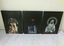 the GazettE Gazette Redefined STANDINGLIVE HERESY