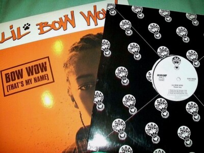 Lil Bow Wow **PROMO VINYL LOT** Bow Wow (Das Ist Mein Name) -- Danke