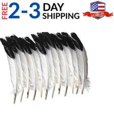 School Smart 2-Tone Imitation Eagle Feather, 10" to 12", White with Black Tip...